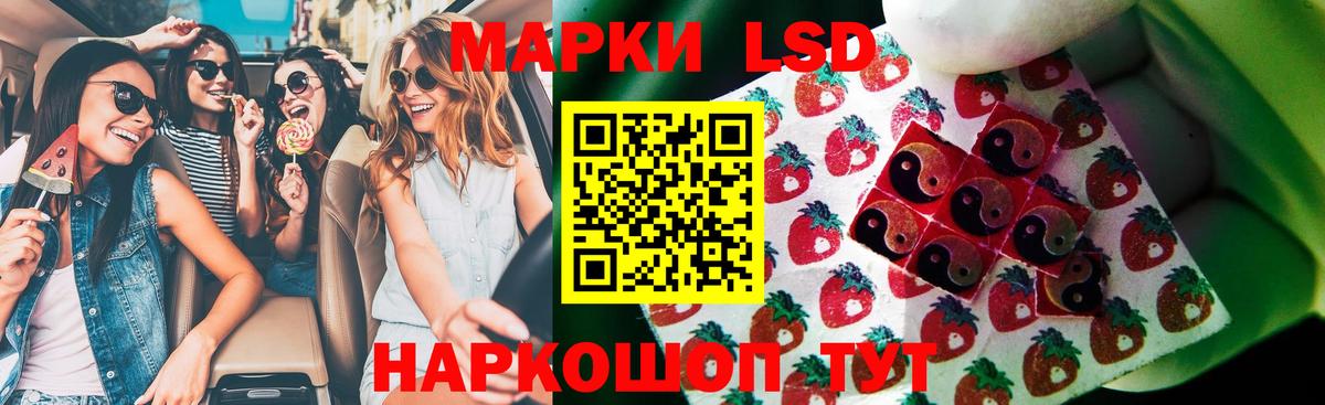 мега как войти  LSD-25 экстази  Камышлов  Вход с VPN  ЛСД экстази кислота  ЛСД экстази ecstasy 