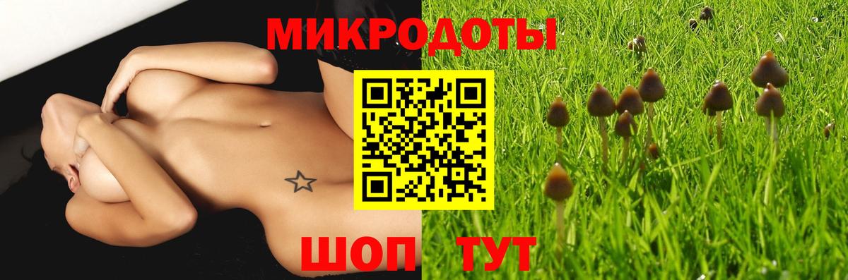 Камышлов  Галлюциногенные грибы прущие грибы  купить наркоту  Вход с VPN 